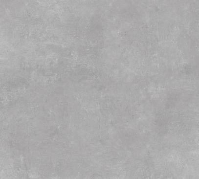 BIEN 60x60 Ark Silver Rec Matt