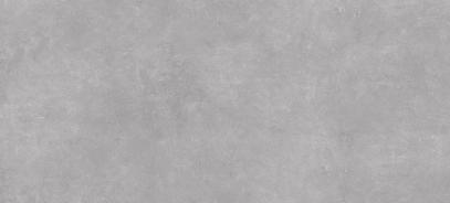 BIEN 60x120x2 Ark Silver Matt