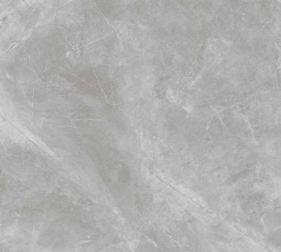 BIEN 100x100 Pulpis Grey Full Lap