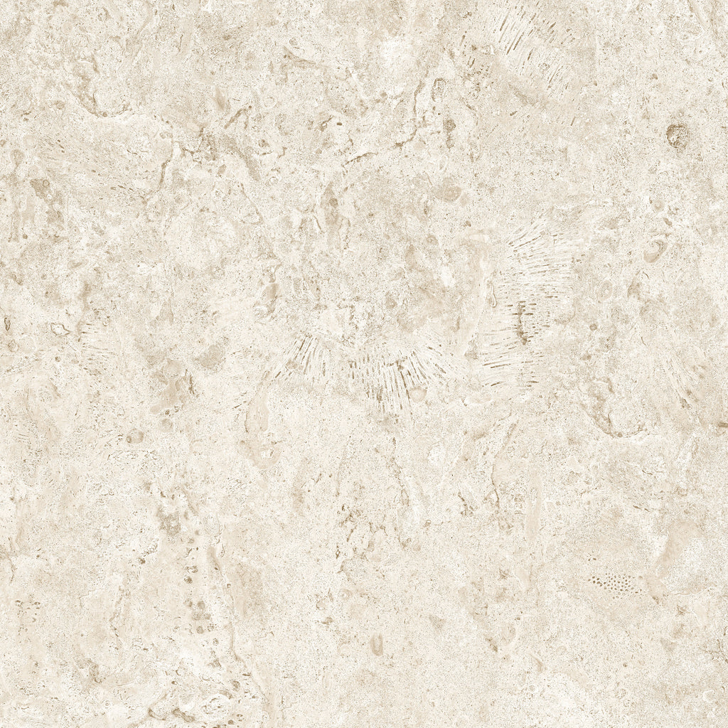 AZUVI Coral Beach – CORAL BEACH 60X60, Original-Fliesenansicht
