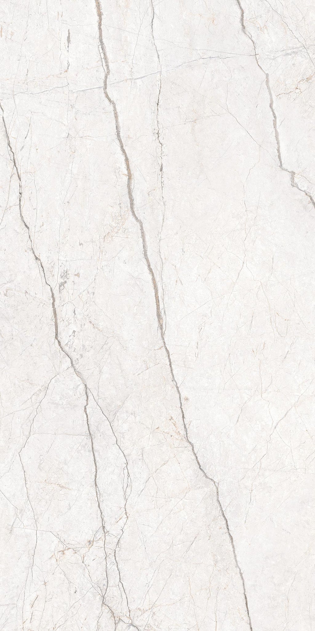 Energieker Silver Root – Originalaufnahme 3