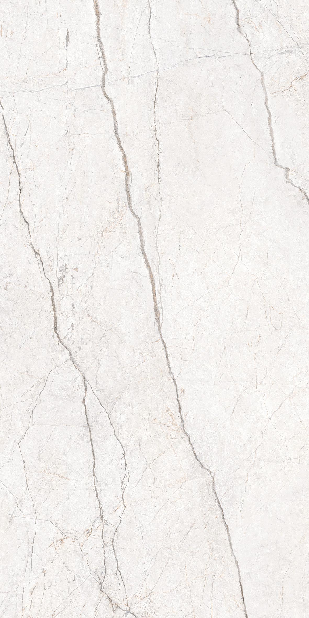 Energieker Silver Root – Originalaufnahme 3